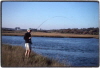 Estuary Fishing